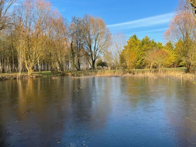 La Marelle Bed & Breakfast Avrille-les-Ponceaux ภายนอก รูปภาพ