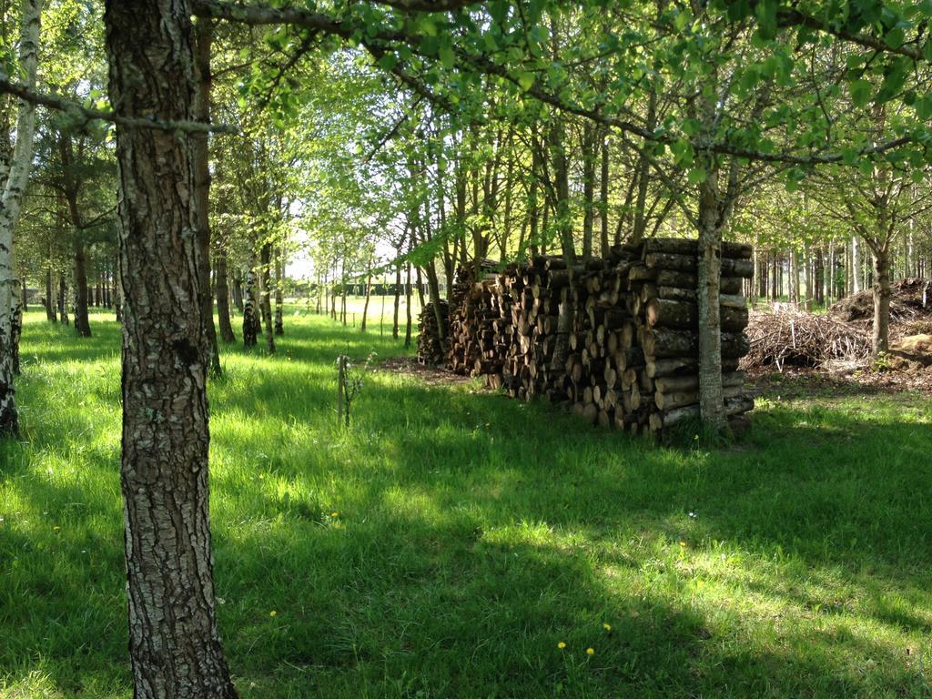 La Marelle Bed & Breakfast Avrille-les-Ponceaux ห้อง รูปภาพ
