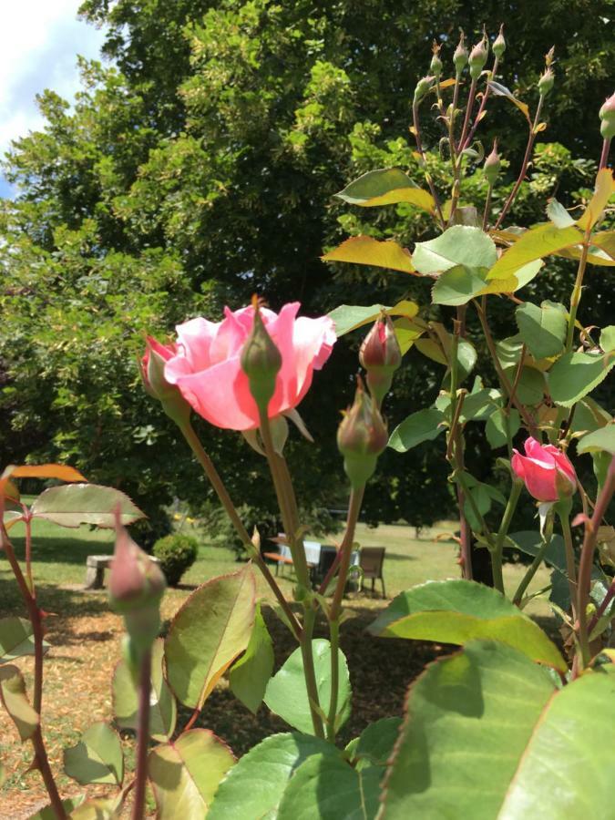 La Marelle Bed & Breakfast Avrille-les-Ponceaux ภายนอก รูปภาพ