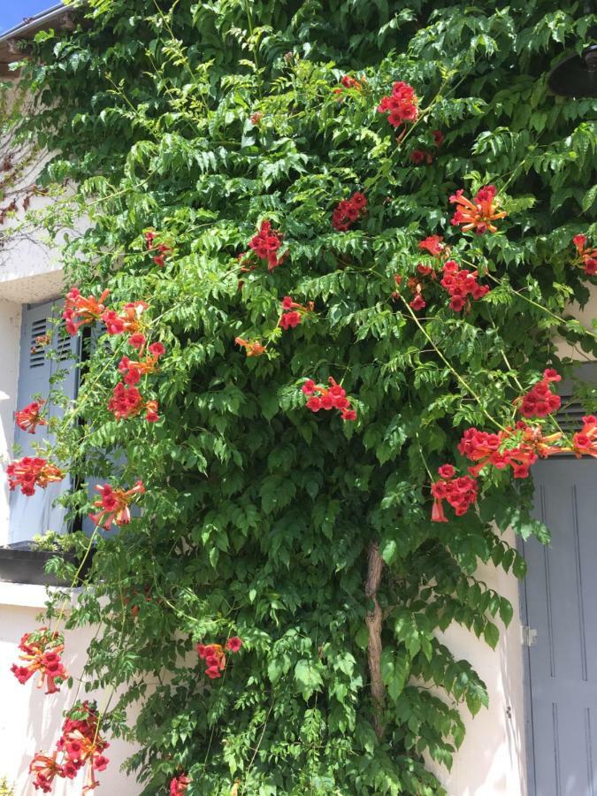La Marelle Bed & Breakfast Avrille-les-Ponceaux ภายนอก รูปภาพ